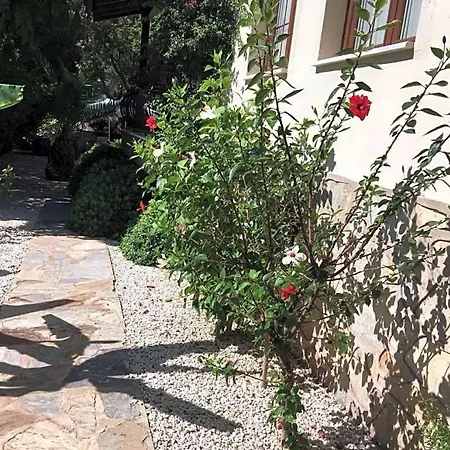 Sleeps 24 Pool Air Con Wifi Willa *